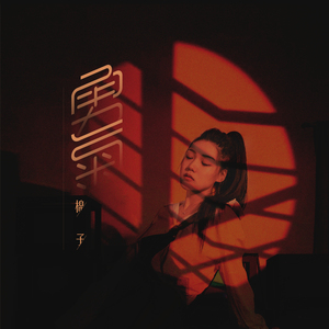 台湾吴文淇个人资料
