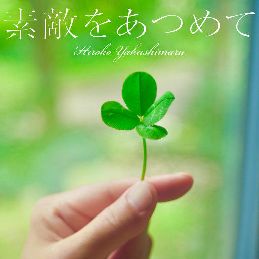 台湾吴文淇个人资料
